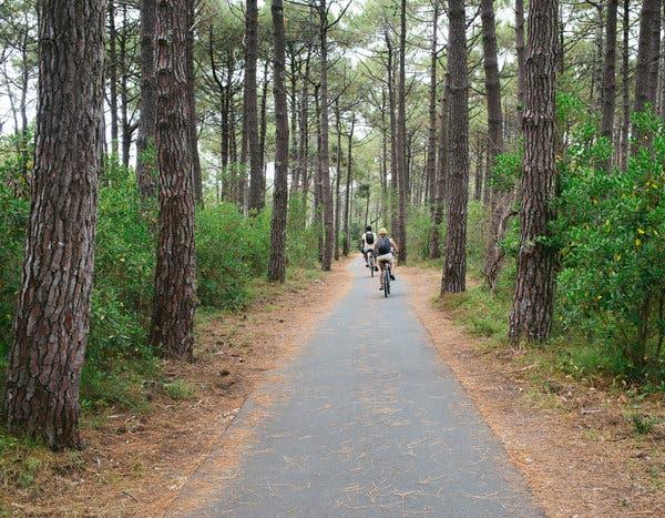 En France, à vélo le long du Bassin d'Arcachon